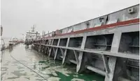 Trasportatore di merci sfuse in vendita