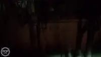 Peschereccio a strascico in vendita