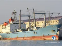 Nave refrigerata in vendita