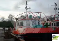 Barche da lavoro in vendita