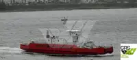 Nave Ro-Ro in vendita
