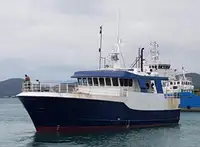 Trawler in vendita