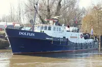 Pattugliatore in vendita