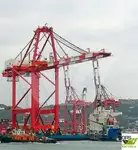Trasportatore di merci sfuse in vendita