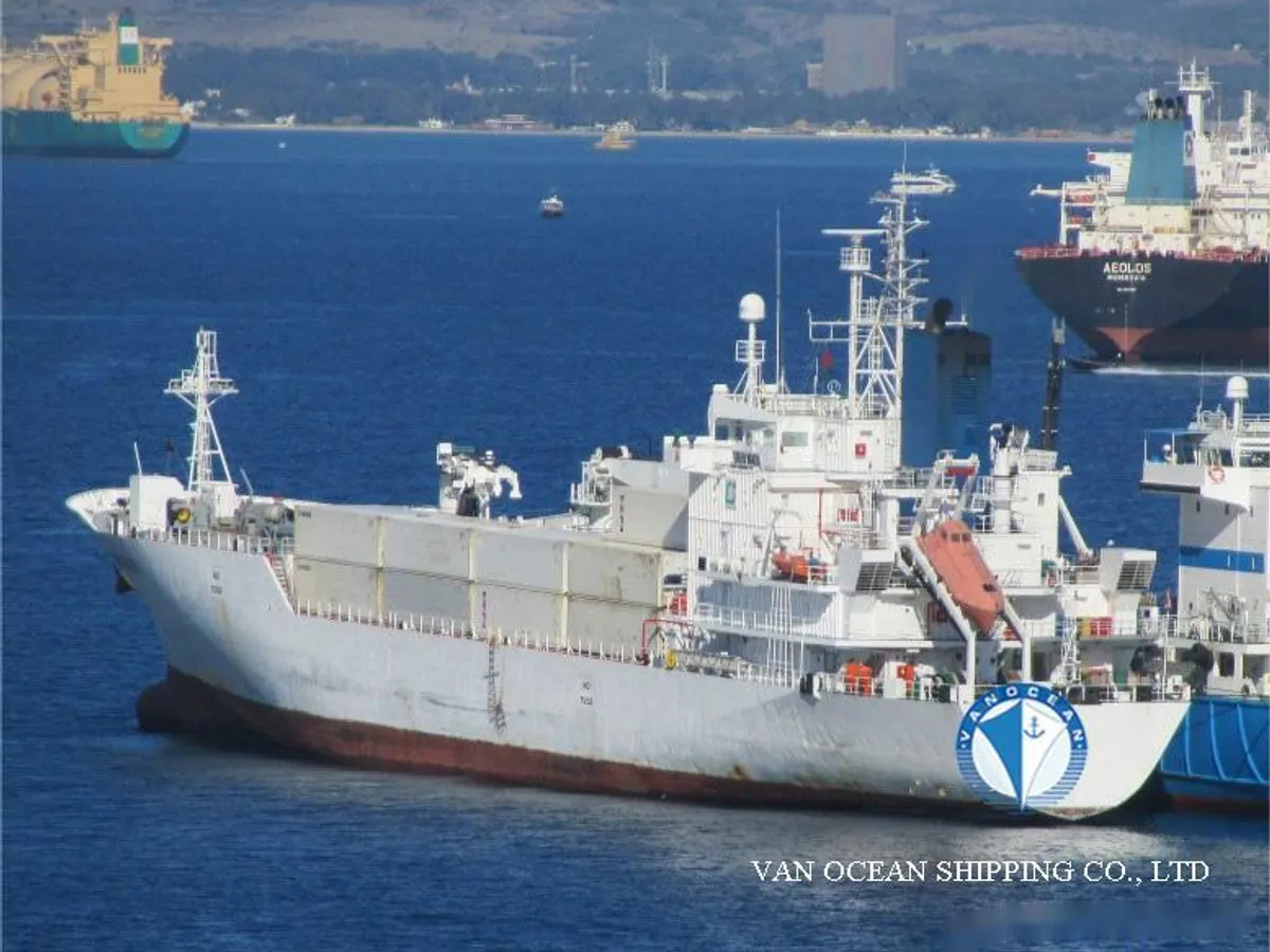 Nave refrigerata in vendita