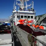 Peschereccio a circuizione in vendita