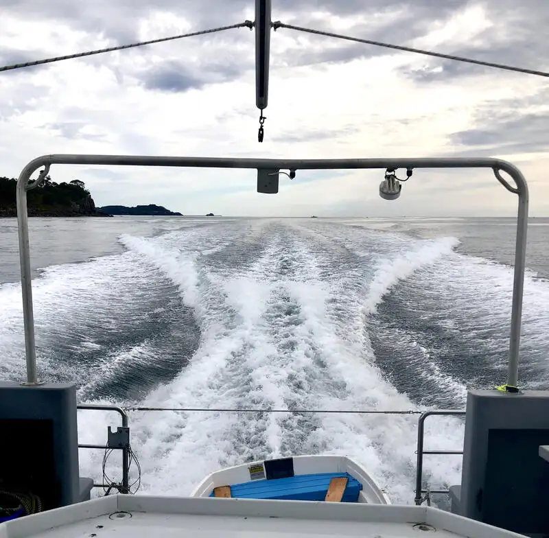 Nave da ricerca in vendita