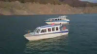 Nave da crociera in vendita