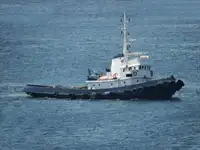 Rimorchiatore in vendita