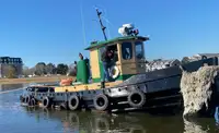 Rimorchiatore in vendita