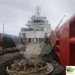 Nave di supporto in vendita