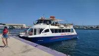 Catamarano in vendita