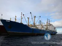 Nave refrigerata in vendita