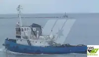 Rimorchiatore in vendita