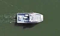 Catamarano in vendita