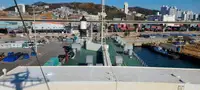 Nave Ro-Ro in vendita