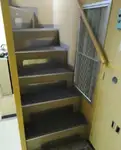 Piroga di pilotaggio in vendita