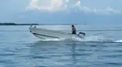 Barche da lavoro in vendita