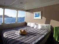 Catamarano in vendita