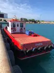 Imbarcazioni da lavoro in vendita