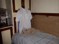 Pattugliatore in vendita