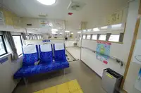Trasportatore di merci sfuse in vendita