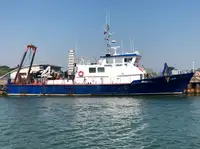 Barche da lavoro in vendita
