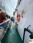 Rimorchiatore in vendita