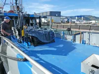 Nave traghetto in vendita