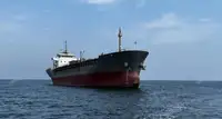 Portacemento in vendita