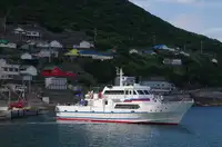 Portarinfuse in vendita