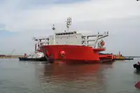 Trasportatore di merci sfuse in vendita