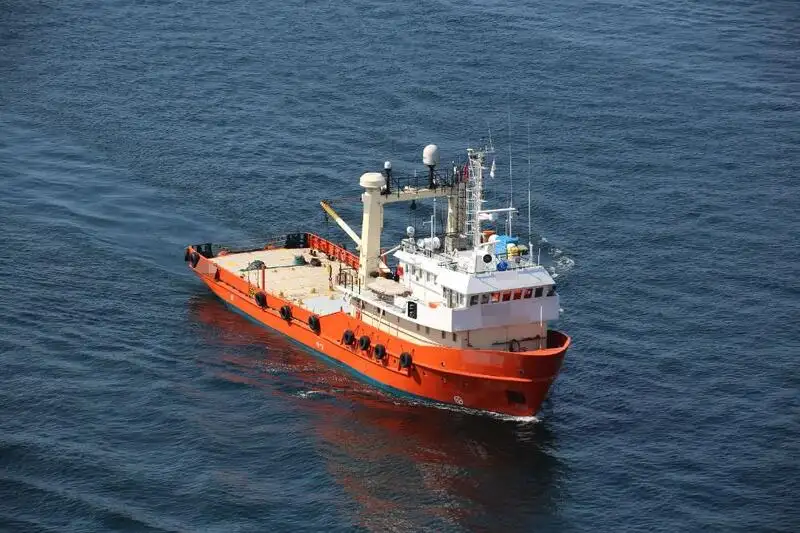 Portacontainer in vendita