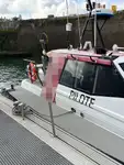 Piroga di pilotaggio in vendita