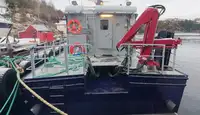 Imbarcazioni da lavoro in vendita