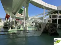 Nave Ro-Ro in vendita