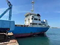 Trasportatore di merci sfuse in vendita