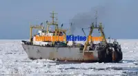 Nave refrigerata in vendita