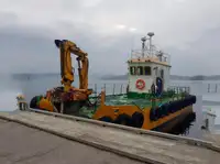 Multiuso in vendita