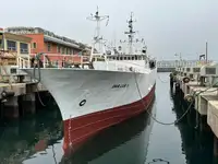 Peschereccio a strascico in vendita