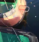 Piroga di pilotaggio in vendita