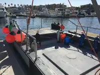 Peschereccio a strascico in vendita