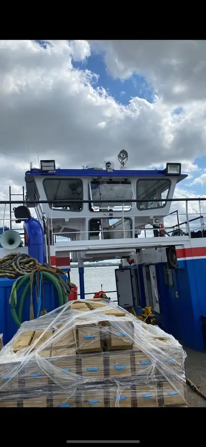 Chiatta in vendita