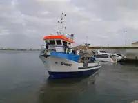 Rimorchiatore in vendita