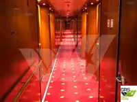 Nave da crociera in vendita