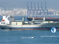 Nave refrigerata in vendita