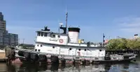 Rimorchiatore in vendita