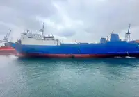 Trasportatore di merci sfuse in vendita