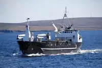 Portarinfuse in vendita