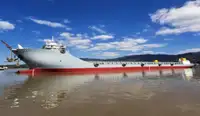 Chiatta in vendita